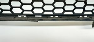 BMW X5 E70 Grille inférieure de pare-chocs avant 51118047339