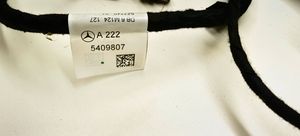 Mercedes-Benz S W222 Wiązka przewodów drzwi przednich A2225409807