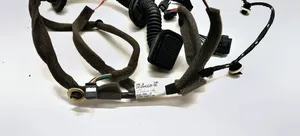 Renault Megane III Front door wiring loom 241244022R