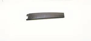 Ford Focus Rear door glass trim molding BM51A254A40