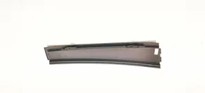 Volkswagen PASSAT B6 Rivestimento modanatura del vetro della portiera posteriore 3C0839902