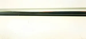 BMW 5 F10 F11 Rear door glass trim molding 