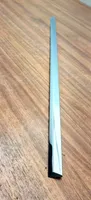 Volkswagen PASSAT CC Rear door trim (molding) 3C8853074B