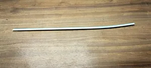 BMW X3 F25 Rear door glass trim molding 