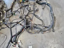 Isuzu D-Max Other wiring loom 