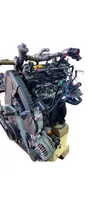 Citroen Jumper Engine 4HY