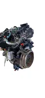 Skoda Octavia Mk2 (1Z) Moteur CFH