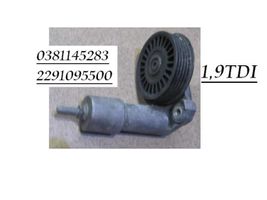 Audi A4 S4 B6 8E 8H Napinacz paska wielorowkowego / Alternatora 0381145283