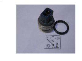 Audi 80 90 S2 B4 Sensore temperatura del liquido di raffreddamento 310105F