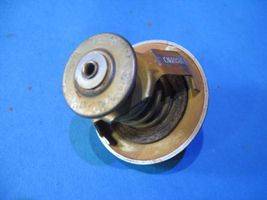 Peugeot 307 Thermostat V1722C