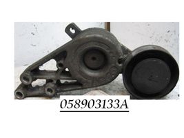 Volkswagen PASSAT B5.5 Napinacz paska alternatora 058903133A