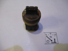 Seat Alhambra (Mk1) Sensore temperatura del liquido di raffreddamento 357919501A