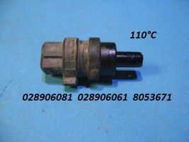 Volkswagen Golf III Sensore della temperatura dell’aria aspirata 028906081