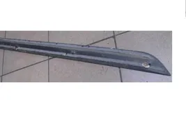 Ford Focus Front door trim (molding) 98ABF20938