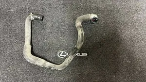 Lexus ES 300h Tuyau de liquide de refroidissement moteur G90D033010