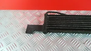 Hyundai Santa Fe Engine oil radiator 