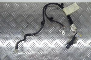 Citroen Berlingo Cableado de instalación del motor 