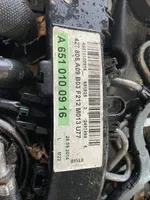 Mercedes-Benz E AMG W212 Engine 651925