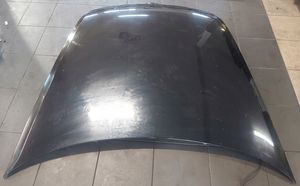 Volkswagen Phaeton Engine bonnet/hood 