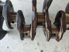 Volkswagen Golf Plus Crankshaft 036AL