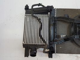 Dacia Duster II Radiatore di raffreddamento 214100078R