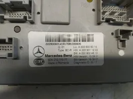 Mercedes-Benz GLC X253 C253 Centralina SAM A2229006014