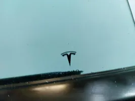 Tesla Model 3 Drzwi tylne 
