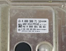 Mercedes-Benz ML W166 Sterownik / Moduł ECU A0009007110