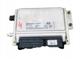 Hyundai Coupe Unité de commande, module ECU de moteur 39120-23490