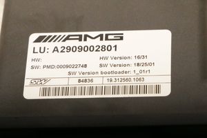 Mercedes-Benz AMG GT 4 x290 w290 Autres unités de commande / modules A2909002801