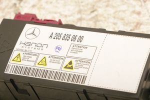 Mercedes-Benz AMG GT 4 x290 w290 Module de contrôle de batterie a2058350600