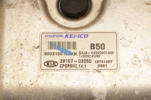 KIA Picanto Sterownik / Moduł ECU 39107-03250