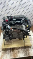 Citroen Berlingo Moteur BHY