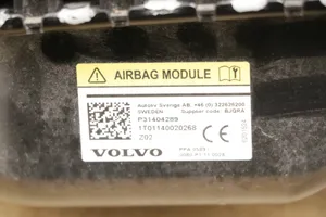 Volvo V40 Airbag per pedoni P31404289