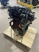 Ford Focus Engine M2DA