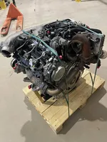 Porsche Cayenne (92A) Moteur CAS