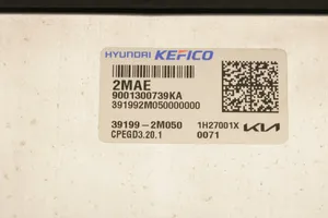 Hyundai Tucson IV NX4 Sterownik / Moduł ECU 39199-2M050