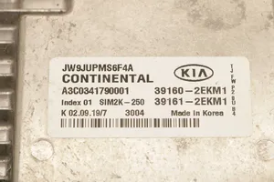 KIA Optima Centralina/modulo del motore 39160-2EKM1