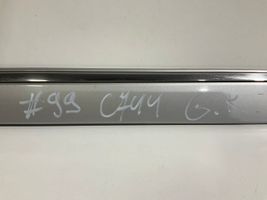 Mercedes-Benz E W211 Rivestimento portiera posteriore (modanatura) A2116901362