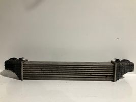 Mercedes-Benz CLS C219 Intercooler radiator 