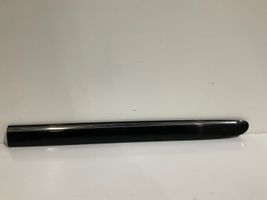 Mercedes-Benz E W211 Rivestimento portiera posteriore (modanatura) A2116901362