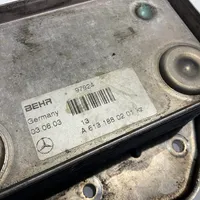 Mercedes-Benz E W211 Радиатор масла двигателя A6131880201