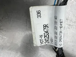 Renault Zoe Wiązka przewodów drzwi przednich 241240726R