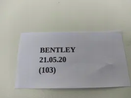 Bentley Continental Pysäköintitutkan anturin kaiutin PDC 8E0919279