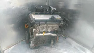 Hyundai Accent Engine 4EC