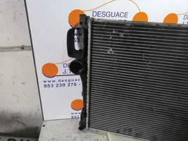 Mercedes-Benz S W221 Radiateur de refroidissement 