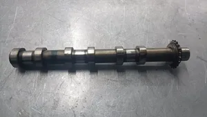 Jaguar S-Type Camshaft 4R8Q6A271AB