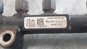 Citroen C4 II Tuyau de conduite principale de carburant 968529758002