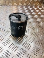 Mercedes-Benz ML W163 Fuel filter A6110920001