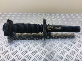 Volkswagen Caddy Front shock absorber/damper 1T0420031